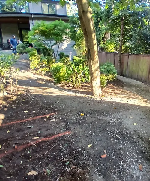 Custom Curved Paver Walkway Installation in Bellevue 